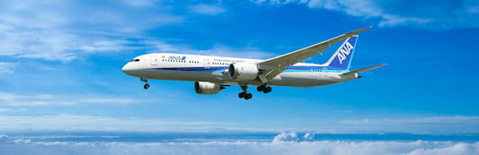 全日本空輸（ANA）